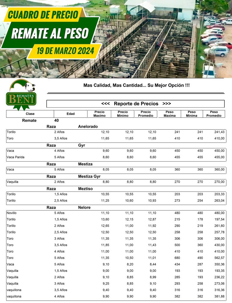 ActualizaciÓn De Precios Referenciales 21324 Fegabeni 9782